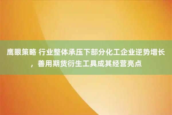 鹰眼策略 行业整体承压下部分化工企业逆势增长，善用期货衍生工具成其经营亮点