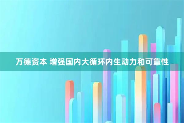 万德资本 增强国内大循环内生动力和可靠性