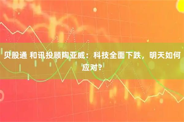 贝股通 和讯投顾陶亚威：科技全面下跌，明天如何应对？