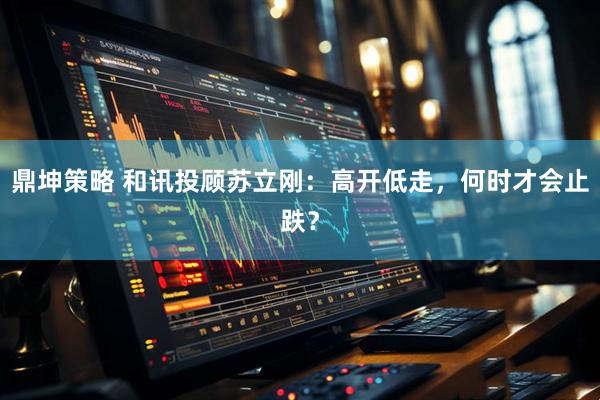 鼎坤策略 和讯投顾苏立刚：高开低走，何时才会止跌？