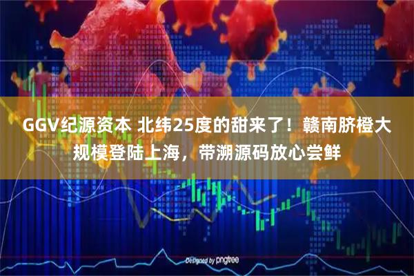 GGV纪源资本 北纬25度的甜来了！赣南脐橙大规模登陆上海，带溯源码放心尝鲜