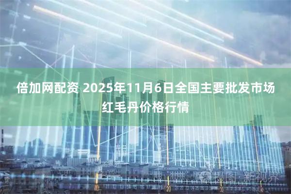 倍加网配资 2025年11月6日全国主要批发市场红毛丹价格行情
