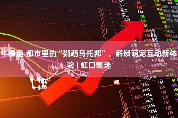 牛操盘 都市里的“鹦鹉乌托邦”，解锁萌宠互动新体验 | 虹口甄选