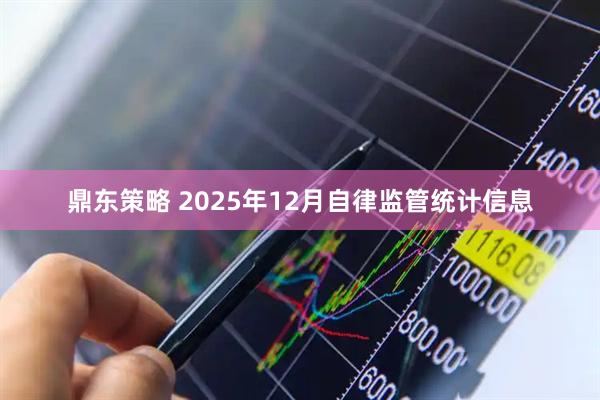 鼎东策略 2025年12月自律监管统计信息