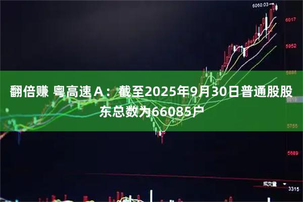 翻倍赚 粤高速Ａ：截至2025年9月30日普通股股东总数为66085户